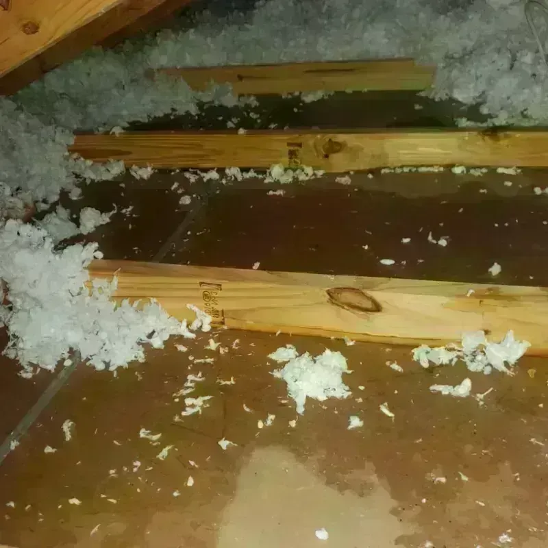 Attic Water Damage in Pratt County, KS