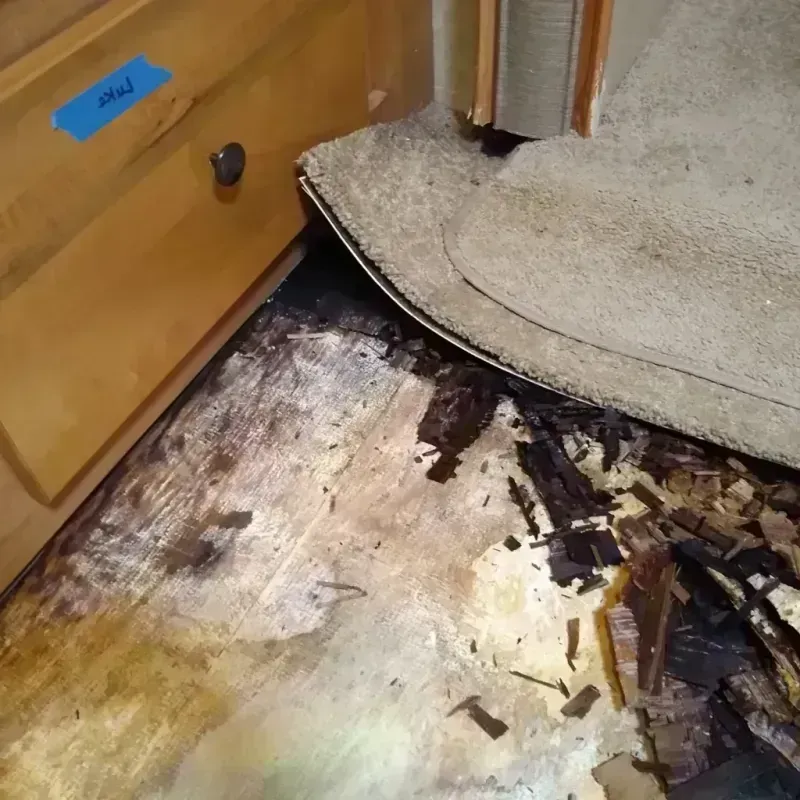 Wood Floor Water Damage in Pratt County, KS